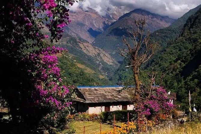 Pokhara: Day Hike at Annapurna Mountain Foothills - Why this Pokhara hike works so well