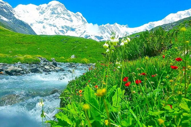 Pokhara: Day Hike at Annapurna Mountain Foothills - Australian Camp: mountain views with a local connection