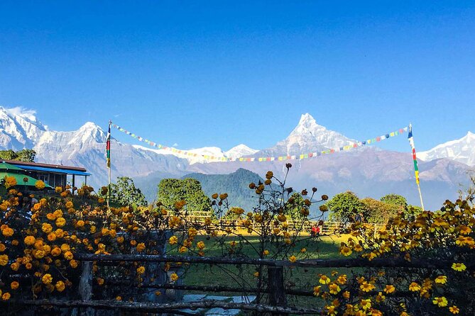 Pokhara: Day Hike at Annapurna Mountain Foothills - Walking onward to Dhampus for 1.5 hours