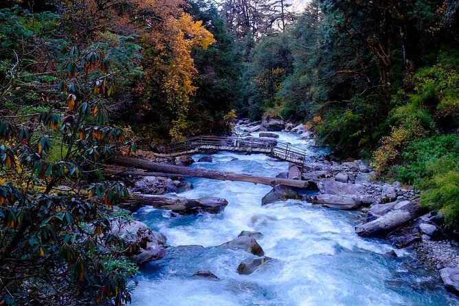 Pokhara: Day Hike at Annapurna Mountain Foothills - The two-hour descent to Dhampus Phedi