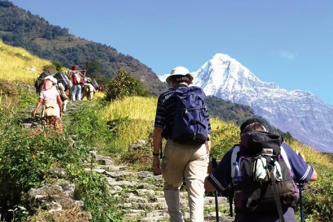 Pokhara: Day Hike at Annapurna Mountain Foothills - What the $80 price really covers