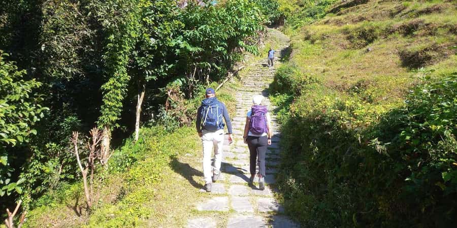 Pokhara: Day Hike to Australian Camp - Reaching Australian Camp at 2,100 meters