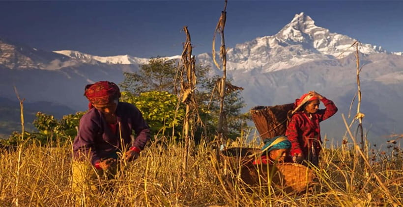 Pokhara: Day Hiking to Australian Base Camp with Lunch - What the $14 price really delivers