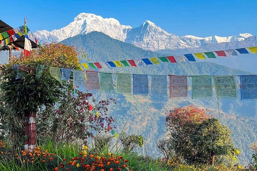 Pokhara: Day Hiking to Australian Base Camp with Lunch - The guide can make or break the experience