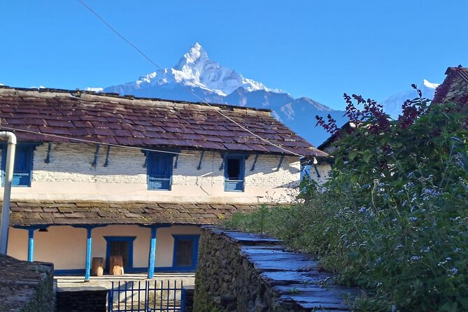 Pokhara: Easy Day Hike to Australian Camp & Dhampus Village - Lunch and mountain views at Australian Camp
