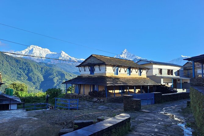 Pokhara: Easy Day Hike to Australian Camp & Dhampus Village - Returning from Phedi to Pokhara
