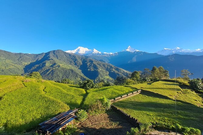 Pokhara: Easy Day Hike to Australian Camp & Dhampus Village - What the $58 price really covers