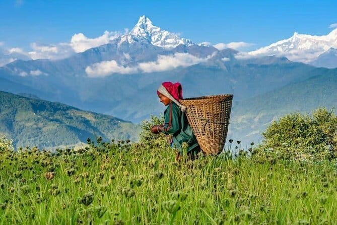 Pokhara: Easy Day Hike to Korean Preferences Place - Dhampus and its Gurung character
