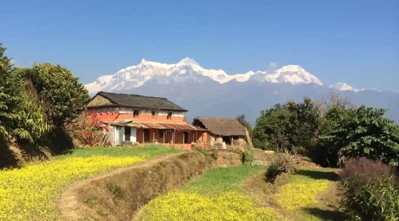 Pokhara : Easy Dhampus & Astam Village Day Hike - The climb from Phedi to Dhampus