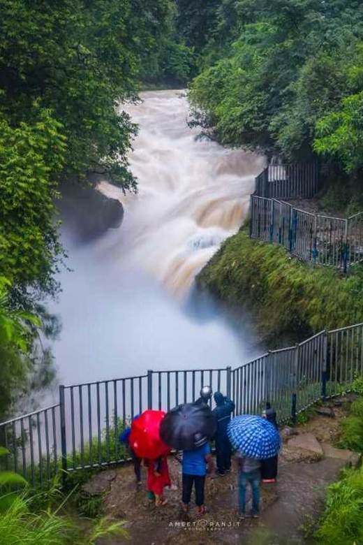 Pokhara: Full-Day Private Tour on 7 Iconic Destination - Davis Falls: Water, Force, and Local Stories