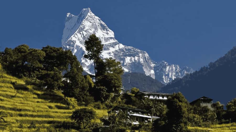 Pokhara: Guided Day Hike From Dampus To Australian Base Camp - Five things to know before you go