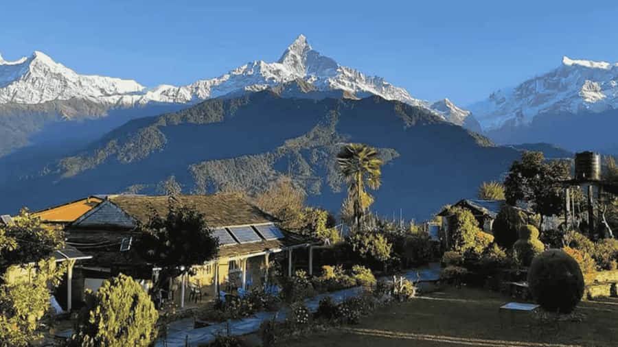 Pokhara: Guided Day Hike From Dampus To Australian Base Camp - The forest trail from Dhampus to Australian Camp