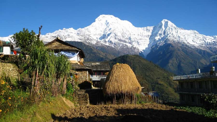 Pokhara: Guided Day Hike From Dampus To Australian Base Camp - What the guide adds to a short outing