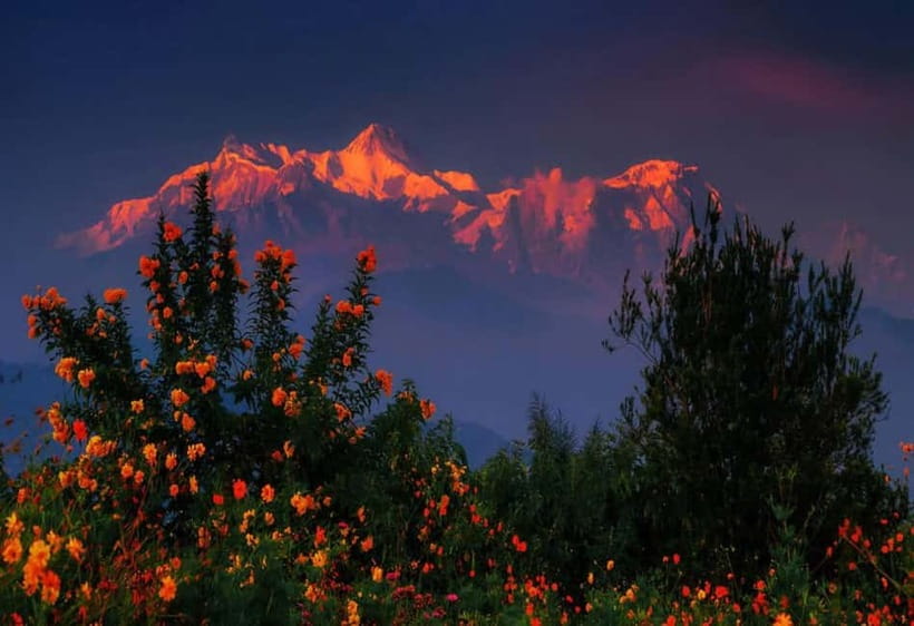 Pokhara: Hike To Australian Base Camp - Key points before you book