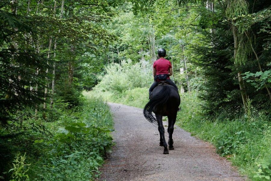 Pokhara: Horseback Adventure - Leaving Pokhara’s Lakeside Streets Behind