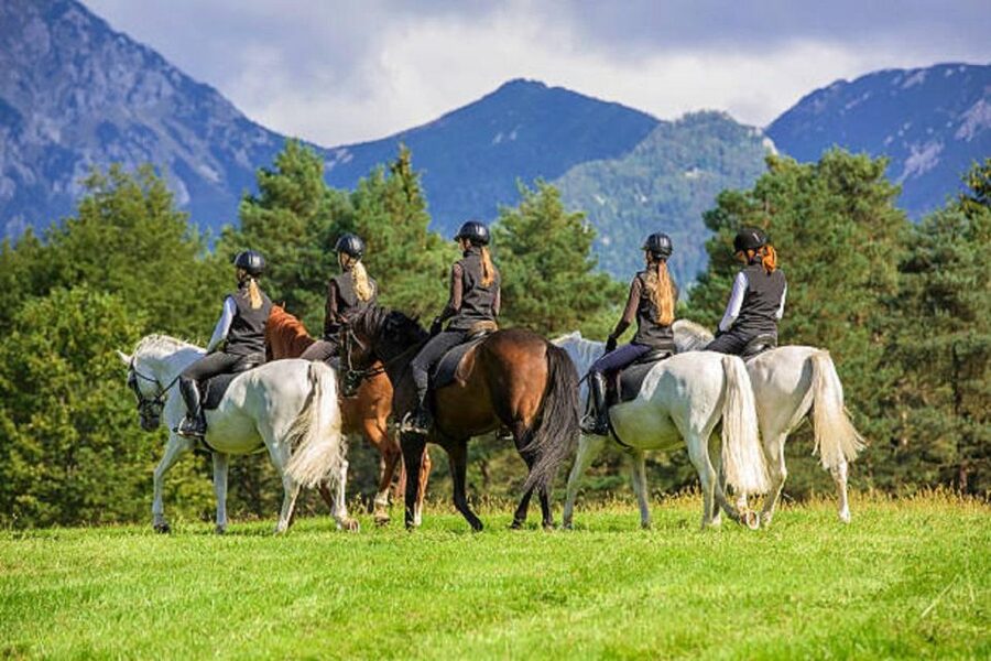 Pokhara: Horseback Riding Adventure with Hotel Pickup - How much value do you get for $32?