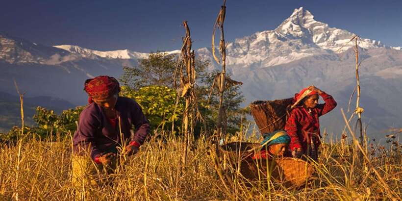 Pokhara: Naudanda Sunset Tour by Car with Hotel Pickup - Arriving at the Naudanda viewpoint