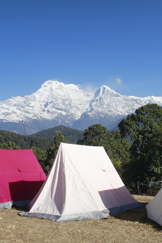 Pokhara: One night camping, campfire stay at Australian camp - The return walk and the final ride to Pokhara