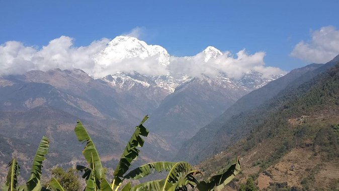 Pokhara: Poon Hill Ghorepani Short Trek - Day two: six hours through forest to Ghorepani