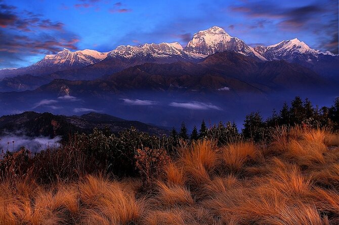 Pokhara: Poon Hill Ghorepani Short Trek - Day three: Poon Hill sunrise at 3,210 meters