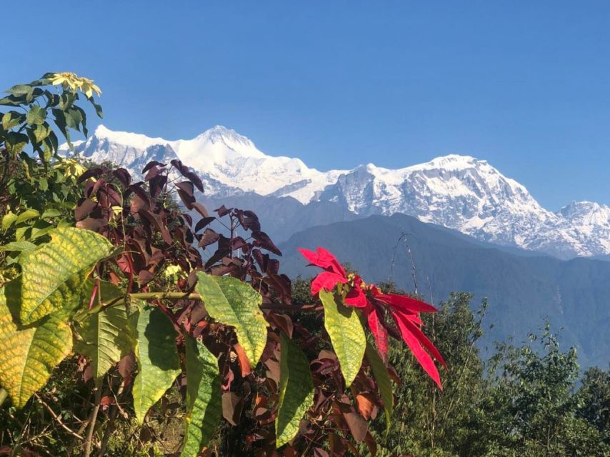 Pokhara: Sunrise Tour to Sarangkot - The Ride Through Villages and Forests
