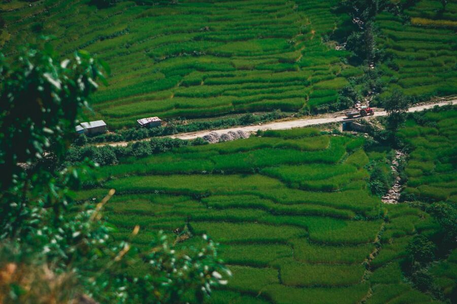 Pokhara: Suspension Bridge Private Tour- 30 Min Village Walk - Who will enjoy this tour most