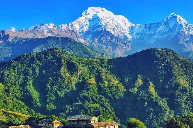 Poon Hill Ghandruk Circuit Trek from Pokhara 4 Days - Day 3: Poon Hill sunrise, then the long descent to Ghandruk