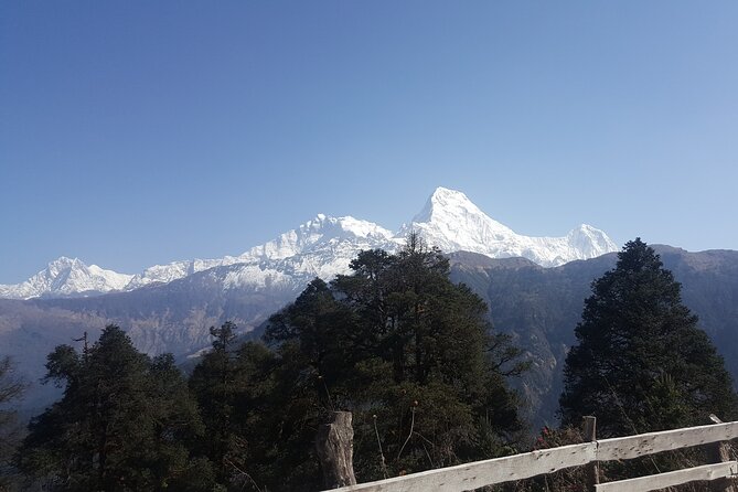 Poon hill Trek 3 days - What the $230 price really covers