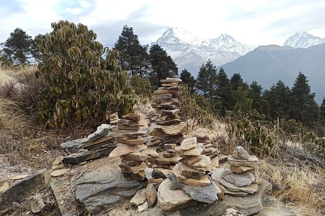 Poon Hill Trek from Pokhara 4 Days - Why This Short Trek Works From Pokhara