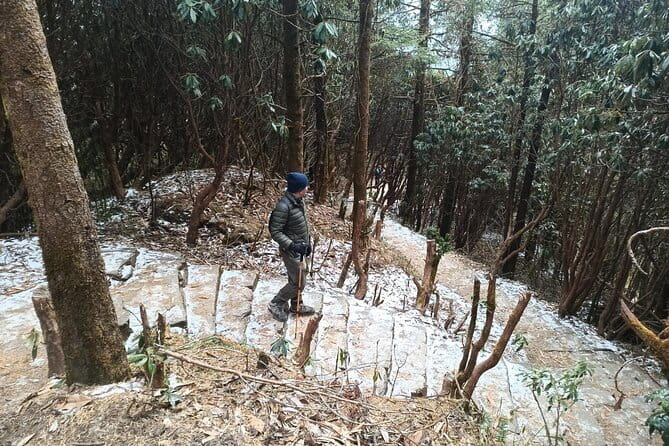 Poon Hill Trek from Pokhara 4 Days - Who Will Enjoy This Trek Most?
