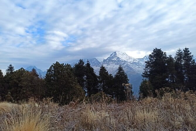 Poon Hill Trek from Pokhara 4 Days - Day Two: Forests, Banthali, and Ghorepani