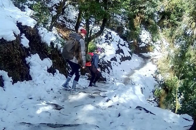 Poon Hill Trek package - Day 5: Downhill from Ghandruk to Birethanti