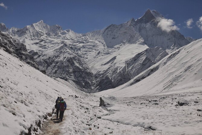 Private 7 - Day Annapurna Base Camp Trekking - Day 4: Deurali to Annapurna Base Camp