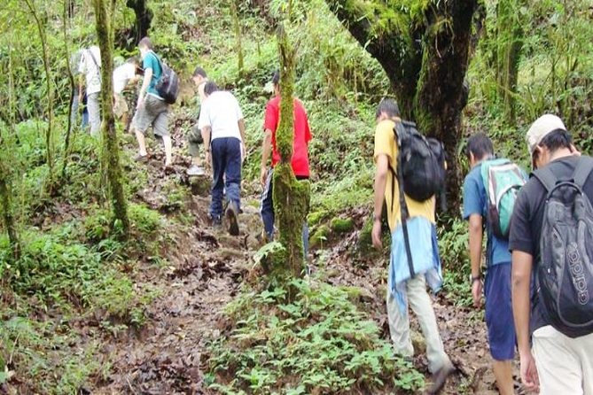 Private Day Hike to Shivapuri - Nagi Gumba at 1,650 Meters