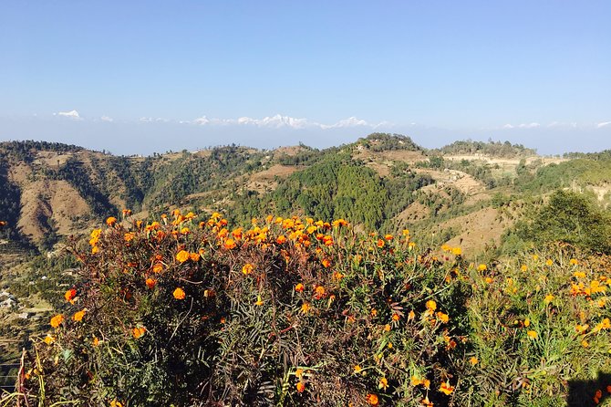 Private Day Tour - Sacred Journey to Namo Buddha - The Stupa And The Two-Hour Visit