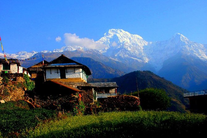Private Full-Day Hike in the Annapurna Foothills in Pokhara - Walking through forest toward Dhampus