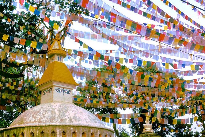 Private Half-Day Tour of Kathmandu Durbar Square and Swayambhunath Temple - Who should book this Kathmandu tour?