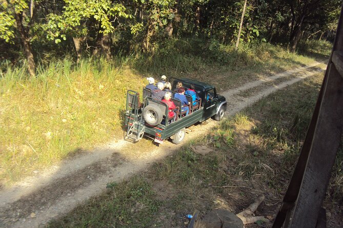 Private Jeep Safari (8-10 hrs.)inside Chitwan National Park. - Wildlife targets, from tiger to giant hornbill