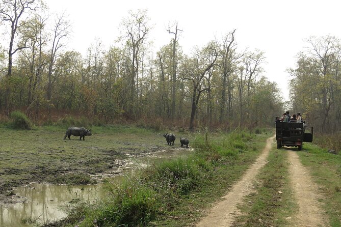 Private Jeep Safari (8-10 hrs.)inside Chitwan National Park. - Lunch, water, fruit, and juice are included