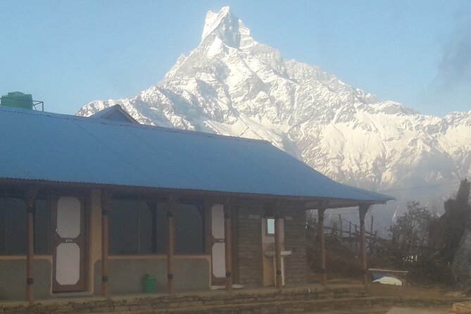 Private Mardi Himal Trek - Day two: Forest Camp and Low Camp