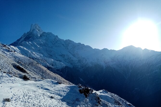 Private Tour 5 Day Mardi Himal Trek - Key points to know before you book