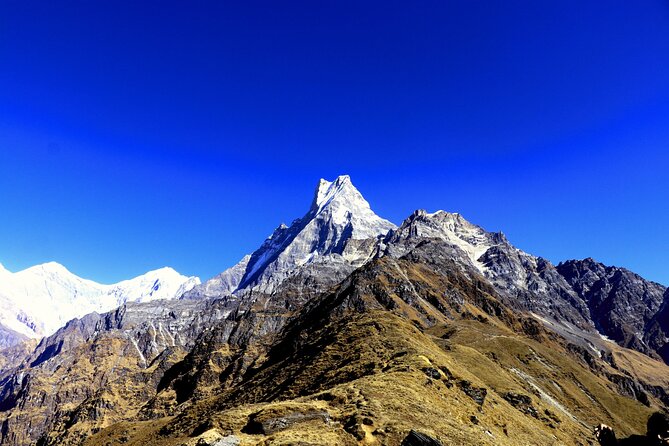 Private Tour 5 Day Mardi Himal Trek - Mardi Himal Base Camp at 4,500 meters