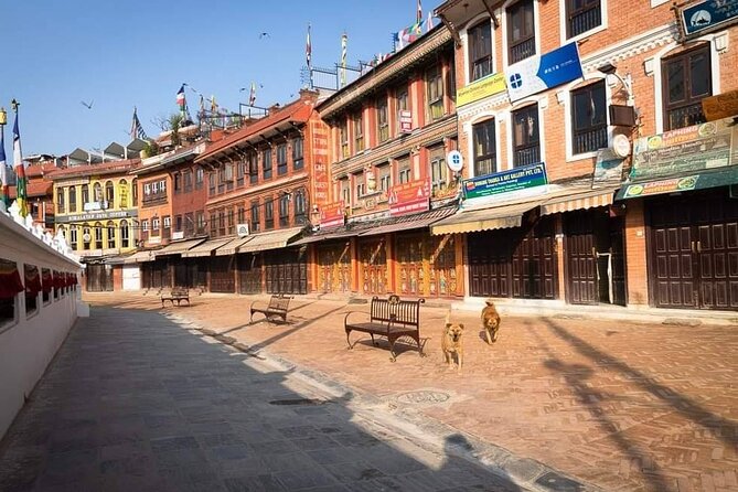 Private Tour of 4 UNESCO Heritage Sites in Kathmandu by Car - The main caution: clarify the guiding service