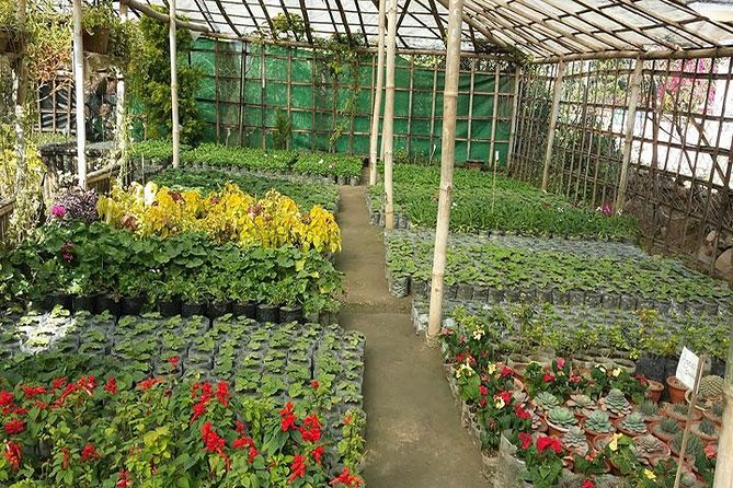 Private Tour of Godawari Botanical Garden Including Lunch - The afternoon return to the garden