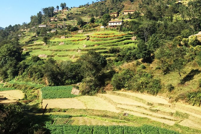 Ranikot Village Hiking in Kathmandu - Lunch, Tea, and the Value of the $59 Price