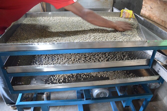 Sarangkot Village Coffee Culture and Authentic Local Life Tour - Why this Pokhara outing feels different