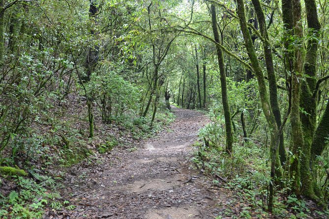 Shivapuri National Park Day Hiking - Budanilkantha, Nagi Gumba, Sundarijal Hike - Key Points Before You Book