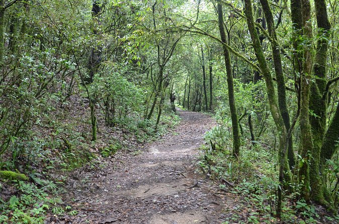 Shivapuri National Park Day Hiking - Budanilkantha, Nagi Gumba, Sundarijal Hike - Who Should Choose This Route