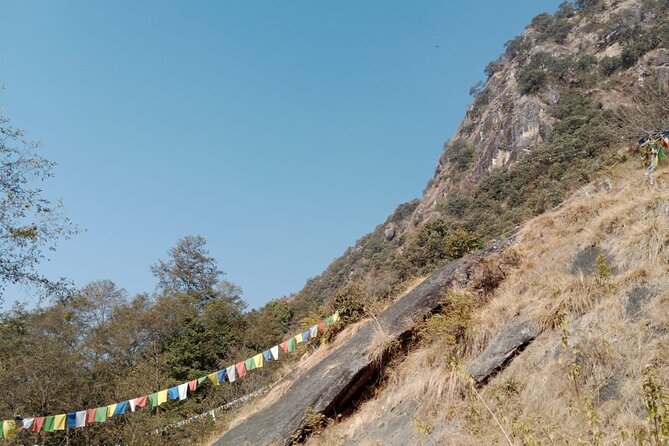 Shivapuri Peak Day Hike from Kathmandu - Climbing Through Four Forest Types