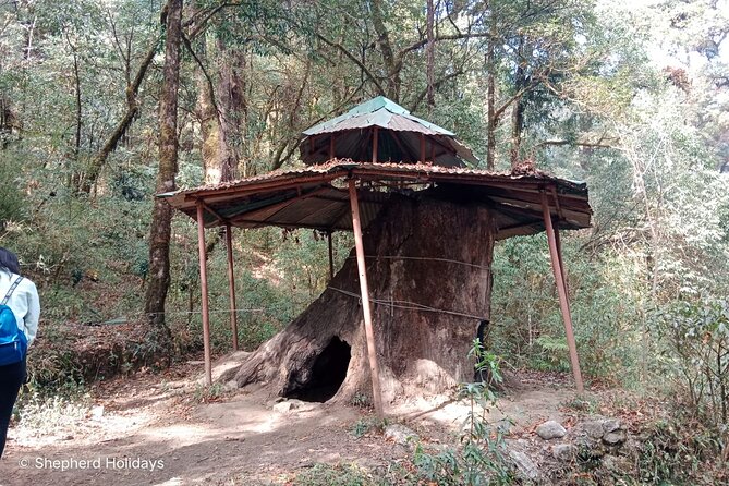Shivapuri Peak Day Hike from Kathmandu - Lunch, Descent, and the Route Back